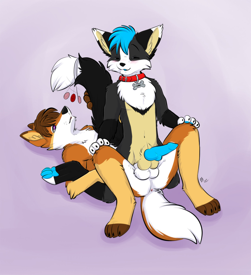 2014 Rule 34 Image