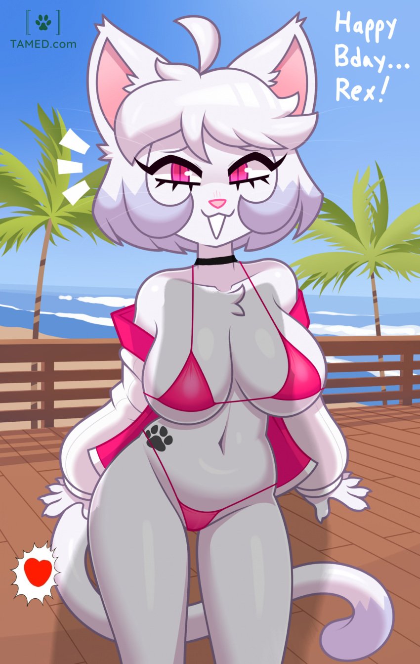 acstlu anthro beach bestiality bra choker curvy dialogue edit english_text feline furry heart imminent_bestiality imminent_sex imminent_zoophilia jacket looking_at_viewer navel open_mouth palm_tree panties paw_tattoo pink_bra pink_eyes pink_panties robo_(robosylveon) robonya_(artist) sand shadow skimpy speech standing talking_to_viewer tattoo text water waterside white_fur white_hair zoophilia