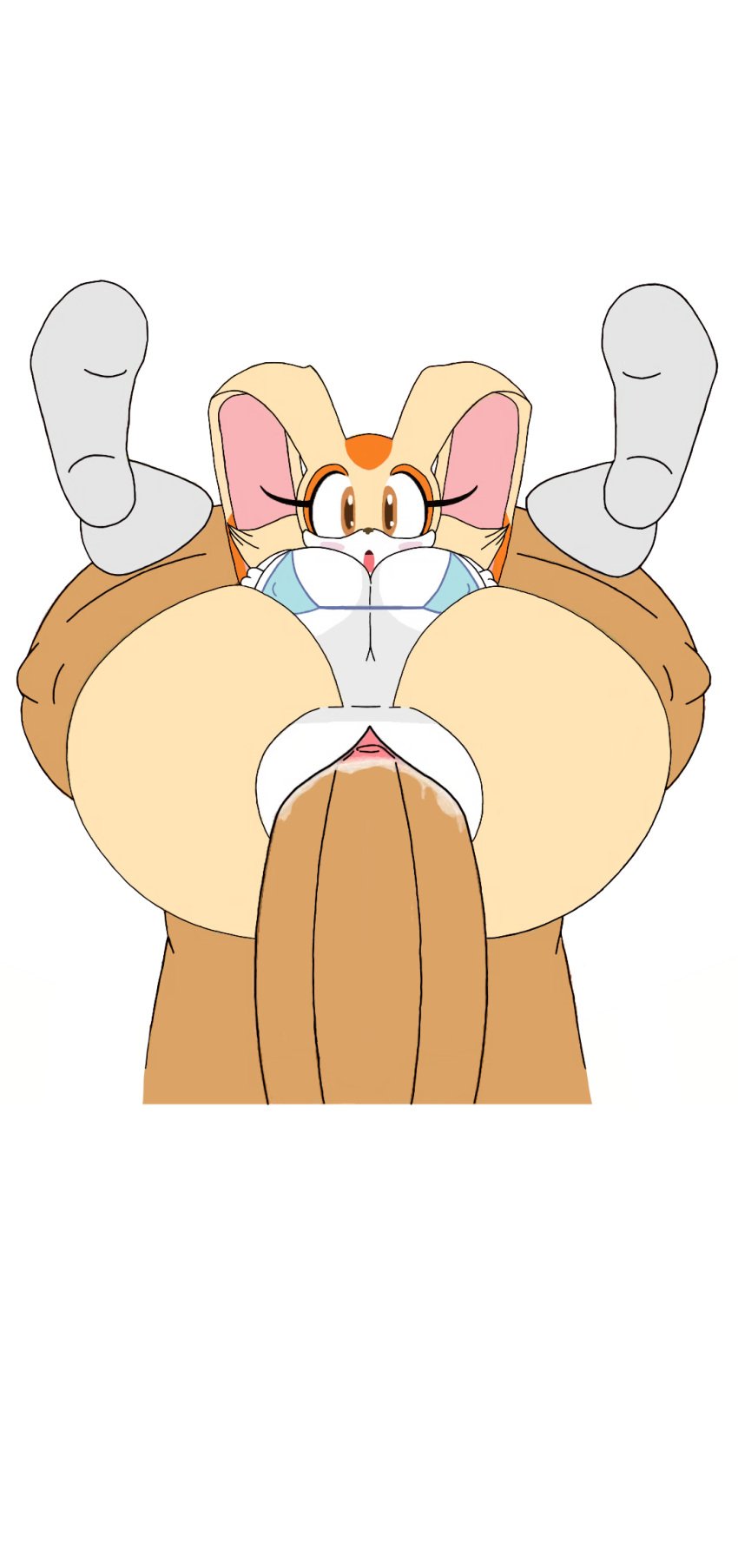 1boy 1girls 2d big_breasts bikini_top brown_eyes cream_the_rabbit ctrl-z full_nelson full_nelson_(legs_held) full_nelson_vaginal huge_ass huge_cock penetration rabbit sega sonic_(series) sonic_the_hedgehog_(series) sonic_transformed_(series) sonic_transformed_2 tan_fur traced vaginal_penetration white_background