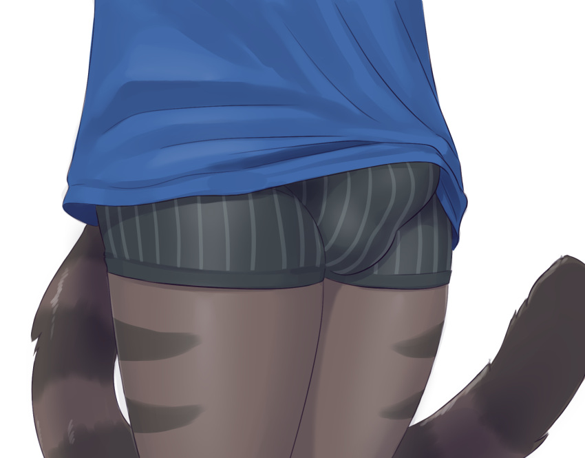 Cat Sona (Mr-Shin) Rule 34 Image