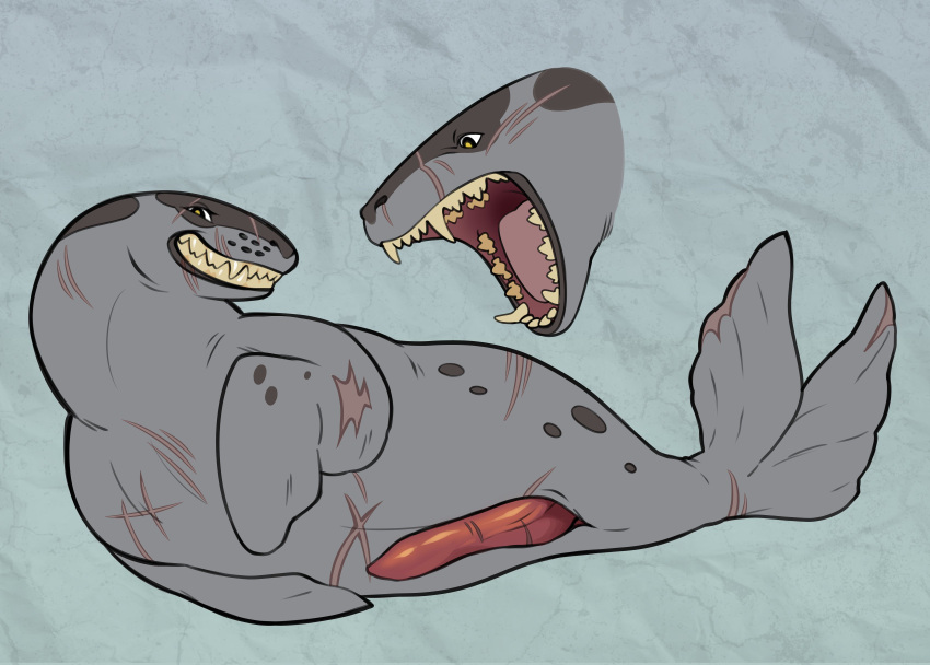 absurd_res anatomically_correct anatomically_correct_genitalia anatomically_correct_penis animal_genitalia animal_penis anthropophagiac erection feral genitals hi_res leopard_seal male mammal marine penis pinniped pinniped_penis scar seal sharp_teeth solo teeth