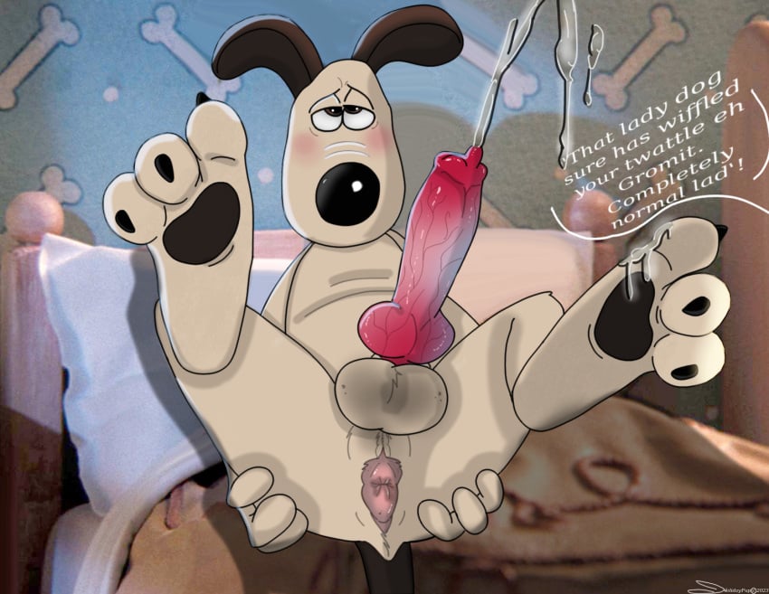 aardman_animations anatomically_correct anatomically_correct_genitalia anatomically_correct_penis anthro anus ass balls bedroom blueballed blush bodily_fluids cum daydream dialogue evening genital_fluids genitals gromit_(wallace_and_gromit) hands-free hi_res hindpaw holidaypup invalid_tag knot looking_pleasured male male_only orgasm orgasm_control orgasm_from_daydreaming pawpads paws penis pent_up pucker self-pleasure semi-anthro shy solo spread_butt spreading toe_curl wallace_and_gromit