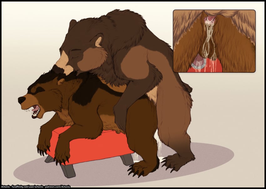 anal anal_sex anatomically_correct anatomically_correct_genitalia anatomically_correct_penis animal_genitalia animal_penis artonis balls bear big_balls bodily_fluids breeding_mount breeding_mount_use brown_bear cum cum_in_ass cum_inside cumshot cutaway doggy_style duo ejaculation excessive_cum excessive_genital_fluids feral feral_on_feral from_behind_position genital_fluids genitals grizzly_bear hair hi_res kuruk_(character) leaking leaking_anus leaking_cum male male/male mammal mane mane_hair messy penetration penis scruff_bite sex ursine ursine_penis