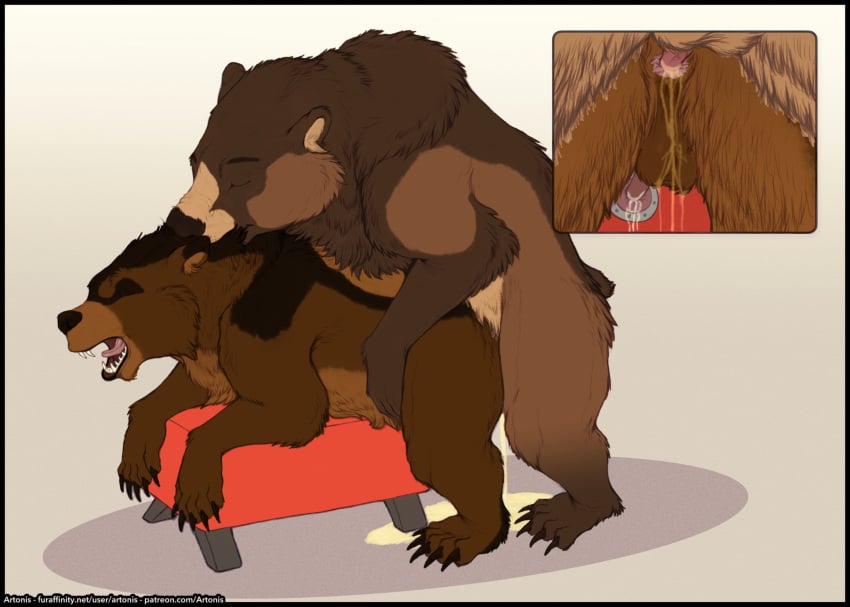 anal anal_sex anatomically_correct anatomically_correct_genitalia anatomically_correct_penis animal_genitalia animal_penis artonis balls bear big_balls bodily_fluids breeding_mount breeding_mount_use brown_bear cum cum_inside cumshot cutaway doggy_style duo ejaculation feral feral_on_feral from_behind_position genital_fluids genitals grizzly_bear hair hi_res kuruk_(character) leaking leaking_anus leaking_urine male male/male mammal mane mane_hair messy peeing peeing_inside penetration penis scruff_bite sex urine urine_in_ass urine_on_balls urine_on_ground urine_on_penis urine_on_perineum urine_pool ursine ursine_penis watersports