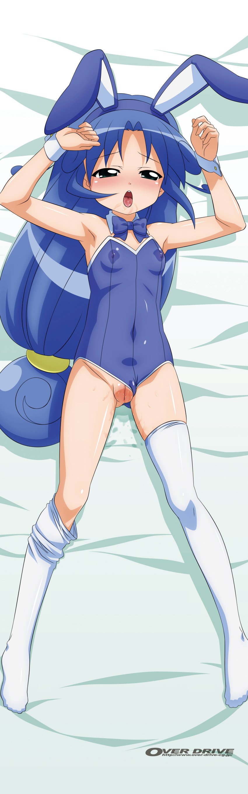 bunny_girl dakimakura overdrive straight_hair thighhighs vagina