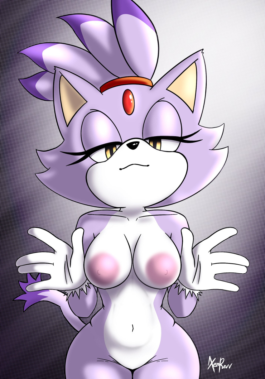 Blaze The Cat (Sonic (Series)) Rule 34 Image