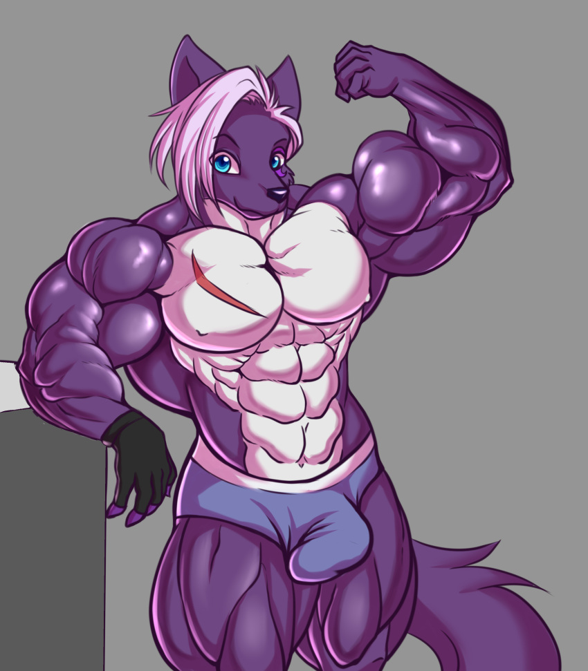 abs canine d.angelo fox male male_only muscles muscular muscular_anthro muscular_male pecs purple_fur