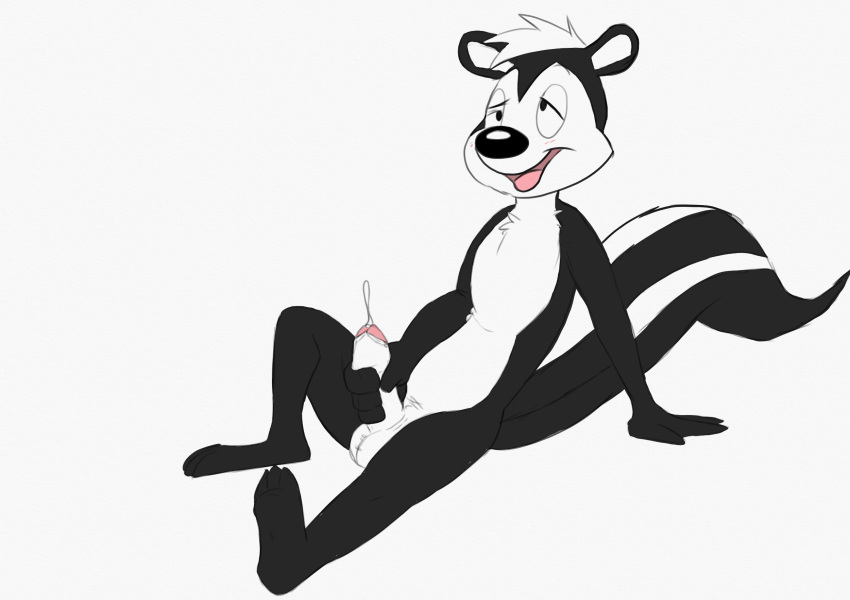 Raphe (Anatomy) Rule 34 Image