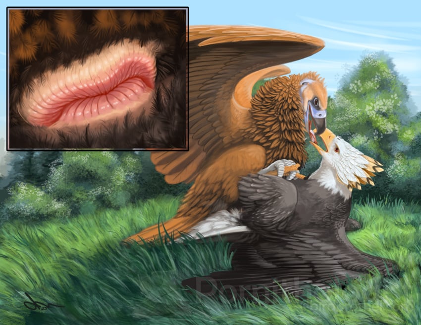 Aquil (Aquiliqex) Rule 34 Image
