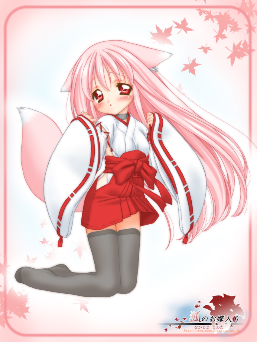 animal_ear animal_ears collar fox_ear fox_ears fox_tail hakama high_res highres japanese_clothes long_hair miko momoyuki_(snow_fox) nakajima_konta pink_hair red_eyes snow_fox tail thighhighs wafuku zettai_ryouiki