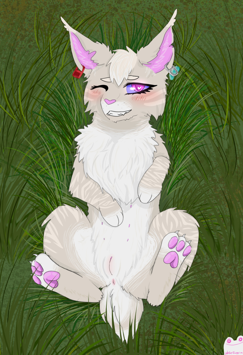 <3_eyes absurd_res anus artist_name blush domestic_cat fan_character felid feline felis female feral genitals grass heart hi_res lying mammal nipples on_back pawpads paws plant pussy smile smiling_at_viewer solo solo_focus spread_legs spreading warriors_(cats) whitefroggim