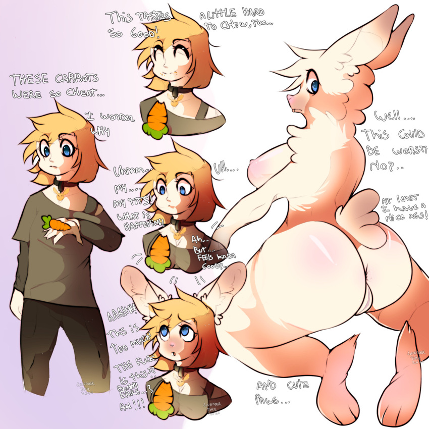 1:1 anthro anus ass big_breasts big_butt blonde_hair breast_growth breasts carrot clothed clothing colored confusion dialogue english_text female food fur gender_transformation genitals growth hair hi_res human human_to_anthro lagomorph lavendertoyz leporid male mammal mtf_transformation nipples nude plant pussy rabbit solo species_transformation text thick_thighs transformation transformation_sequence translated vegetable white_body white_fur