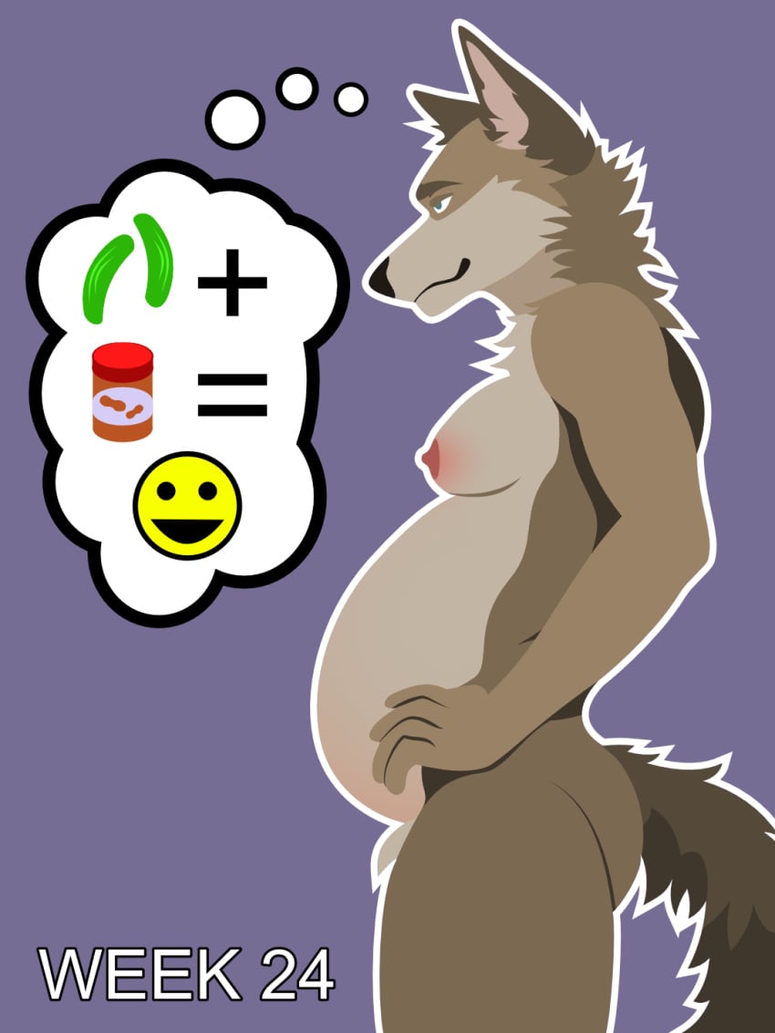 3:4 anthro areola ass balls belly big_belly big_nipples billybobjoey breasts canid canine canis coyote flat_shading fur genitals green_eyes hi_res intersex male mammal neck_tuft nipples nude outline pregnant pregnant_male progression series side_view simple_background smile smirk solo speech_bubble tail text thought_bubble tuft vector