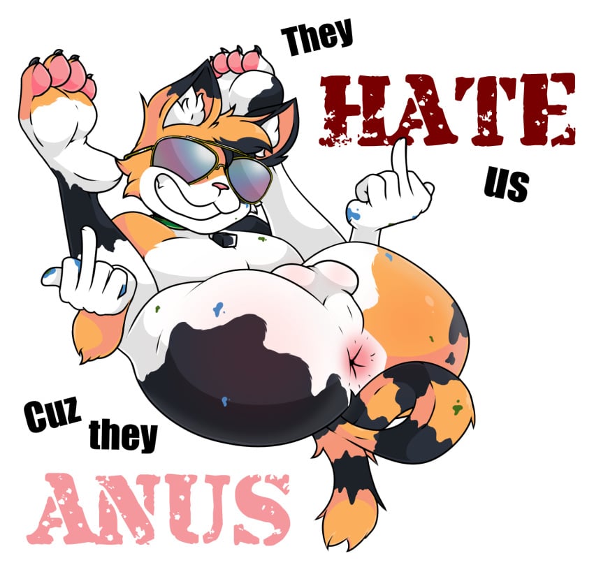 anthro anus balls calico_cat collar domestic_cat english_text eyewear felid feline felis genitals gesture hi_res inkpenkitten male mammal middle_finger nude simple_background solo sunglasses text tinydevilhorns white_background