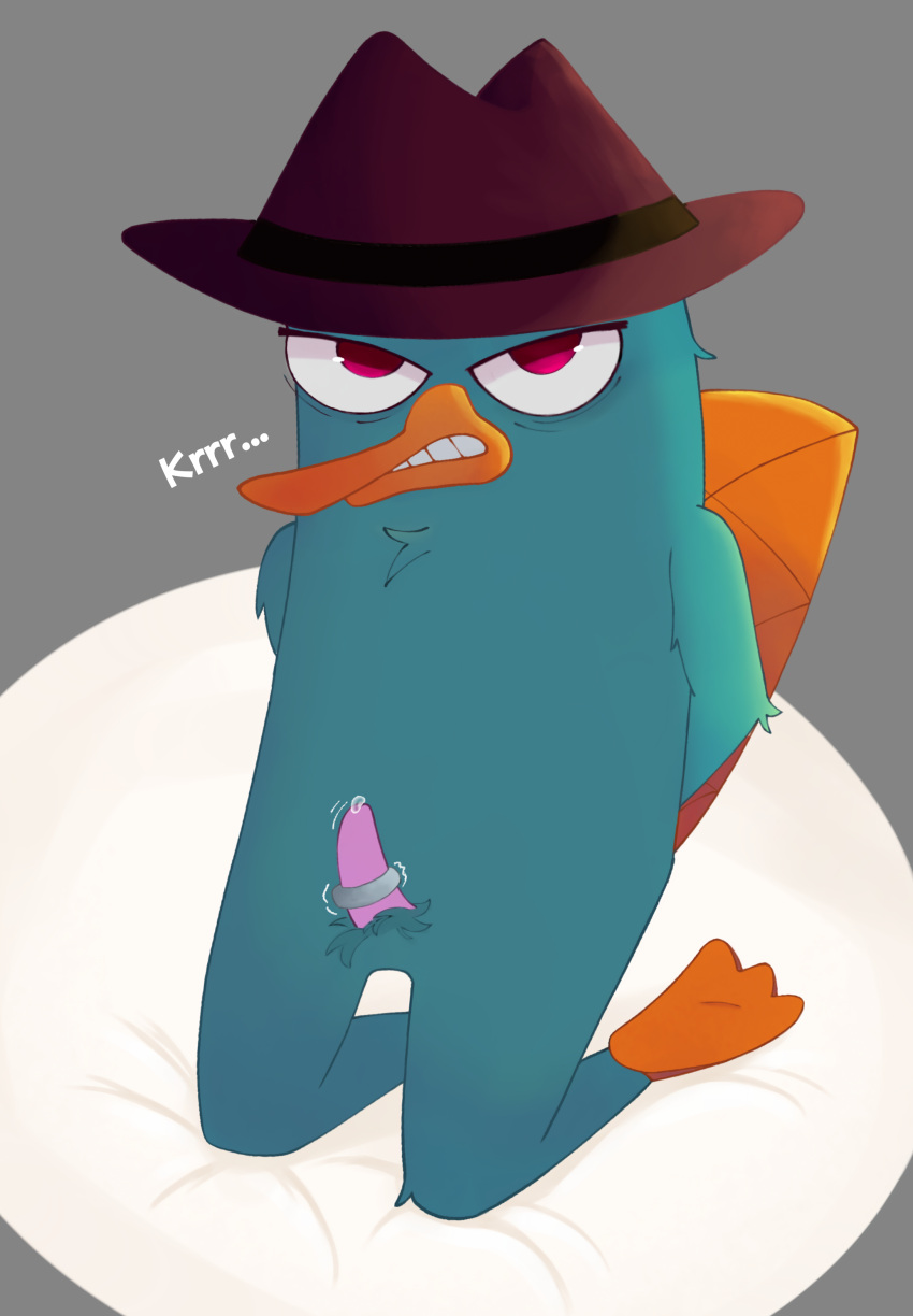 Perry The Platypus (Disney) Rule 34 Image