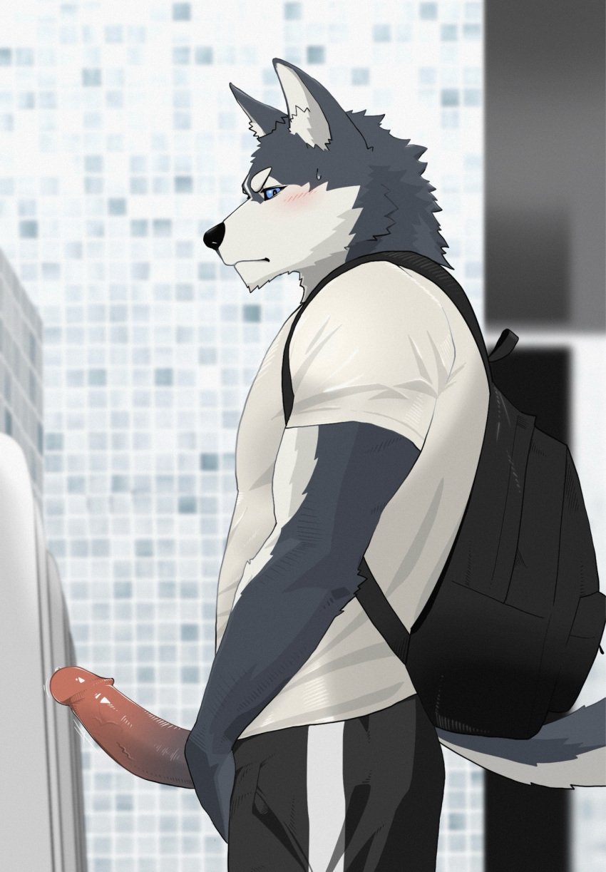 anthro backpack black_nose blue_eyes blush blush_lines bodily_fluids bottomwear canid canine canis clothing domestic_dog duo erection genitals hi_res humanoid_genitalia husky kemono looking_at_another male male/male mammal nagick_18 nordic_sled_dog pants penis pointy_ears shirt side_eye solo_focus spitz sweat sweatdrop t-shirt throbbing throbbing_penis topwear urinal urinal_peeking