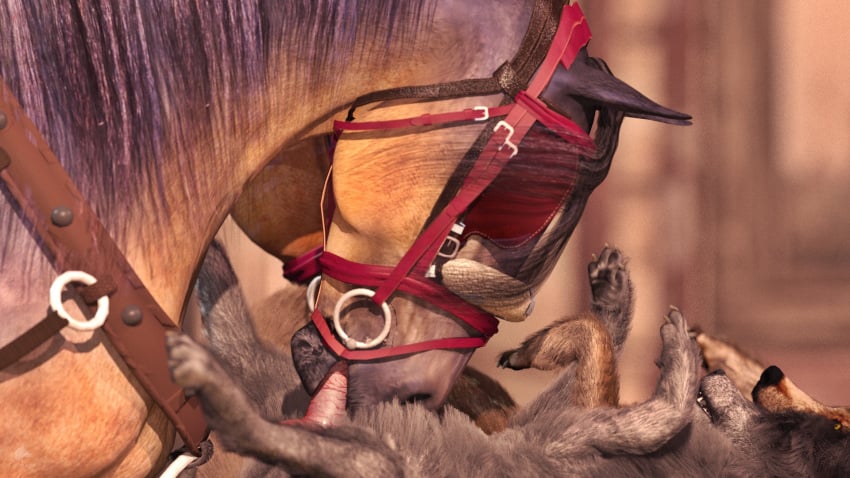 blinders canid canine canis close-up domestic_dog duo equid equine eyewear fellatio feral fur genitals group harness hi_res horse male male/male mammal oral penile penis sex trioami260 wolf