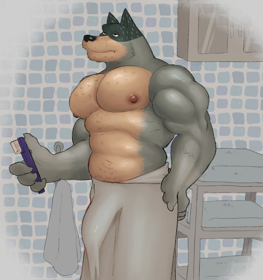 1boy 2023 anthro areola australian_cattle_dog bandit_(bluey) bandit_heeler bathroom biceps biped black_nose blue_body blue_fur bluey_(series) brush bulge canid canine canis cattledog digital_media_(artwork) domestic_dog flaccid fleshformomo fur gay genital_outline half-closed_eyes herding_dog hi_res holding_object inside male male_only mammal muscular muscular_anthro muscular_male narrowed_eyes nipples pastoral_dog pecs penis_outline solo standing toothbrush towel towel_only yellow_body yellow_fur