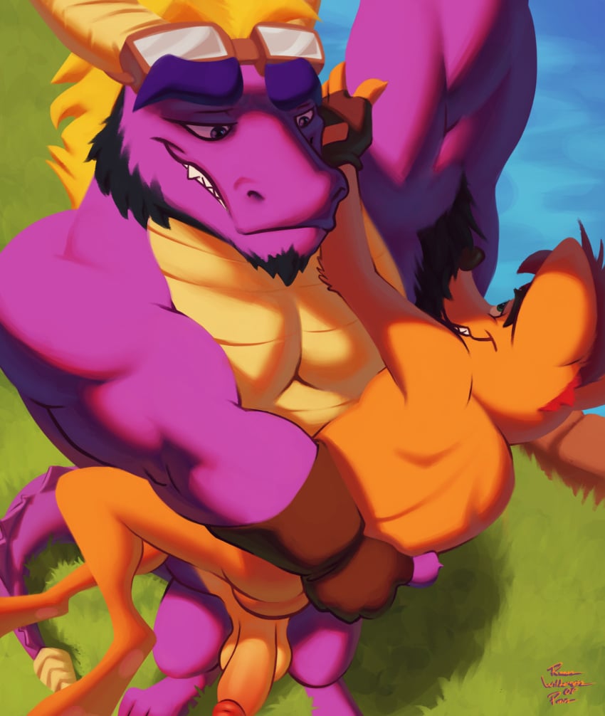 2023 2boys activision anthro armpit_hair armpit_sniffing ass balls bandicoot bara beard big_dom_small_sub black_armpit_hair black_hair blonde_hair body_hair carrying_another carrying_partner clenched_teeth clothing crash_(series) crash_bandicoot crossover detailed_background dragon duo erect erect_penis erection eye_roll eyewear facial_hair fingerless_gloves fur gay genitals gloves goggles goggles_on_forehead grass green_eyes hair handwear hi_res horns looking_pleasured male male/male male_only mammal marsupial muscular muscular_male nude orange_body orange_fur penis plant purple_body purple_dragon purple_eyes purple_scales raised_arm romanwildernessofpain scales signature size_difference smile sniffing sniffing_armpit spyro spyro_the_dragon sunglasses tan_body tan_scales teeth video_games yaoi