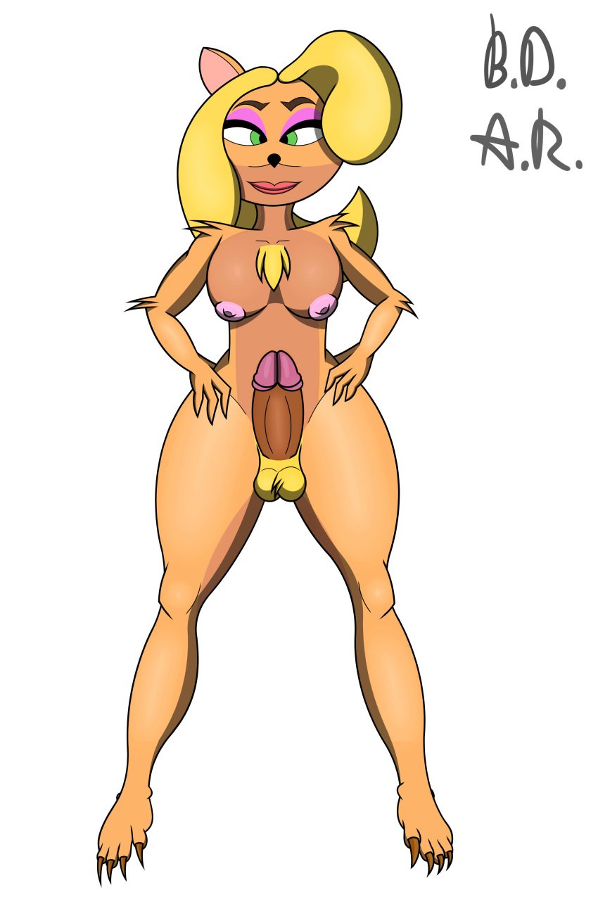 5_o'clock_shadow absurd_res activision anthro b.d.a.r. balls breasts crash_(series) exposed_breasts fluffy front_view fur furry furry_futa futanari genitals gynomorph herm hi_res humanoid intersex mammal marsupial penis solo tawna_bandicoot