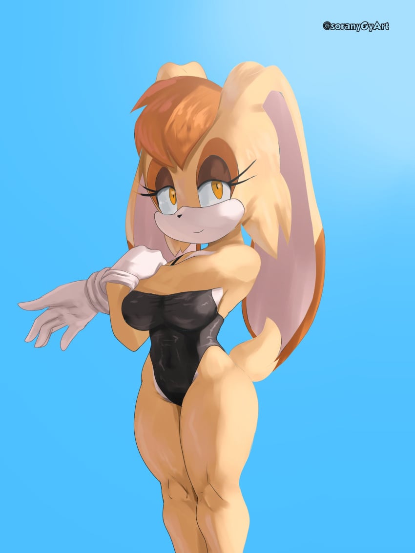 Sonic (Series) Rule 34 Image