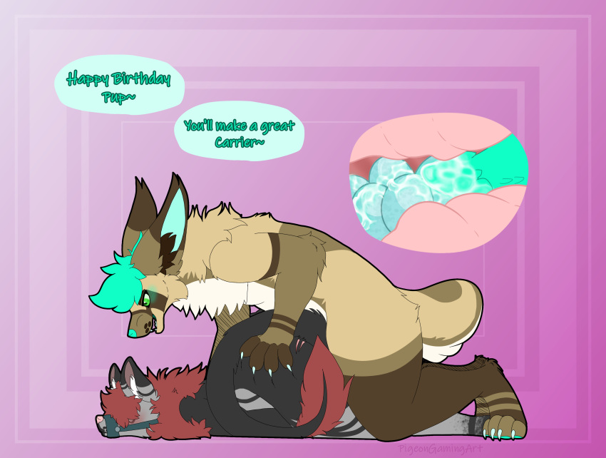 absurd_res alien alien_hybrid anthro big_belly big_ears birthday birthday_sex canid canine canis cody_the_fennec dialogue duo egg egg_implantation fennec fennec_hybrid fox genitals gift hi_res hybrid hybrid_genitalia larger_male larger_top male male/male mammal mars_the_wolf muzzle_(object) muzzled oviposition pigeongamingart scratch_mark scratches scratching sex simple_background speech_bubble wolf