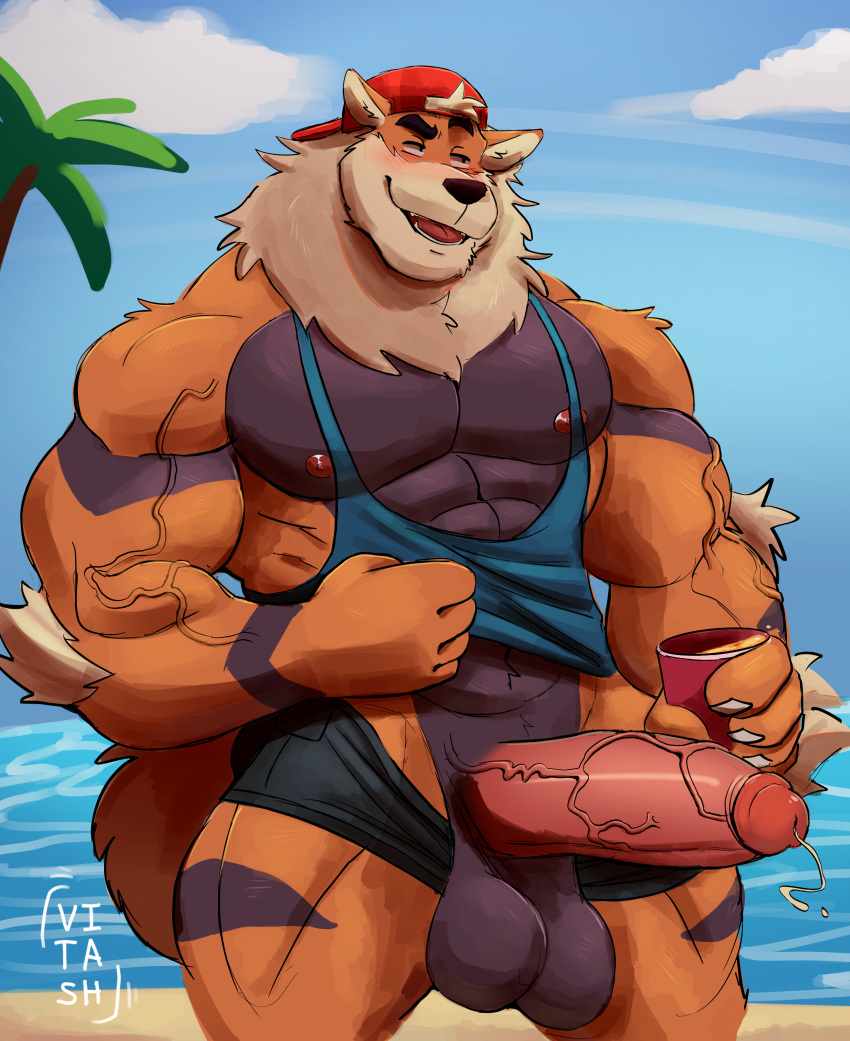 anthro arcanine balls bara barazoku big_balls big_penis blush boner erection furry huge_cock male male_only muscles muscular nintendo orange_fur penis pokemon pokemon_(species) shorts shorts_down solo solo_male tank_top vitashi