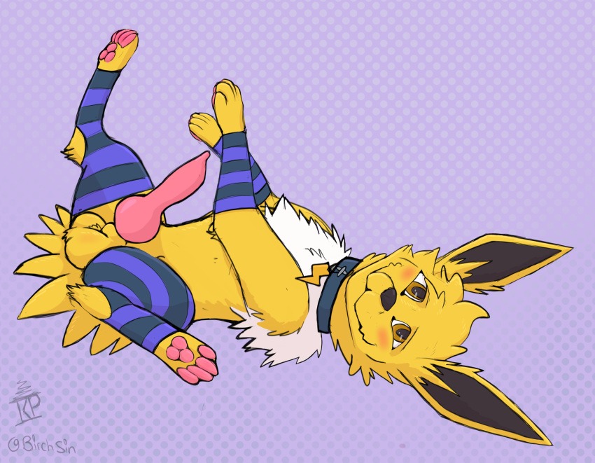 absurd_res animal_genitalia balls birchsin blush canid canine clothing collar digital_media_(artwork) eeveelution erection femboy feral fur generation_1_pokemon genitals girly hi_res jolteon knot legwear male mammal nintendo penis pokemon pokemon_(species) simple_background solo stockings thunders