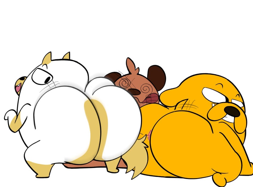 Cake The Cat (Adventure Time) Rule 34 Image