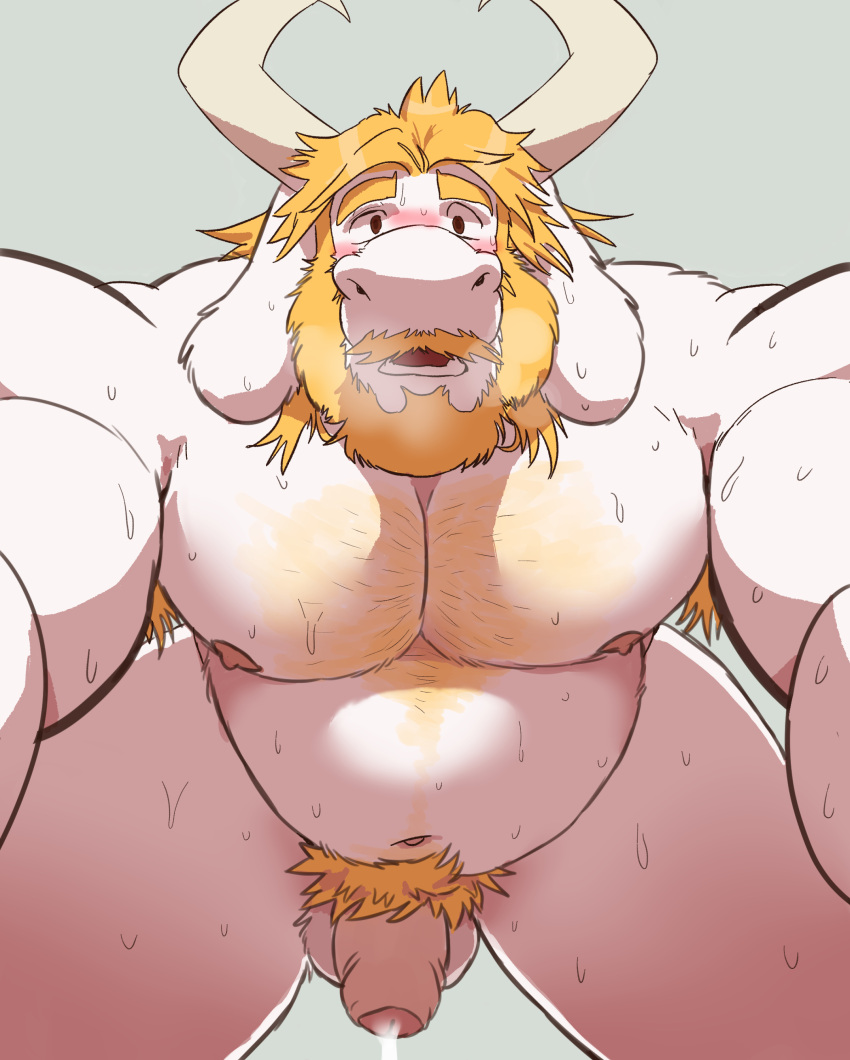 2023 absurd_res anthro armpit_hair asgore_dreemurr balls barazoku beard belly bent_over biceps big_belly big_muscles blush bodily_fluids body_hair boss_monster bovid breath caprine cum cum_drip dripping eyebrows facial_hair flaccid foreskin front_view fur genital_fluids genitals ghoskee goat grey_background hair hi_res horn huge_muscles humanoid_genitalia humanoid_penis long_hair looking_at_viewer male male_only mammal musclegut muscular muscular_anthro muscular_male navel nipples nude open_mouth pecs penis pubes simple_background solo sweat teeth thick_thighs tuft undertale undertale_(series) wet wet_body wet_fur