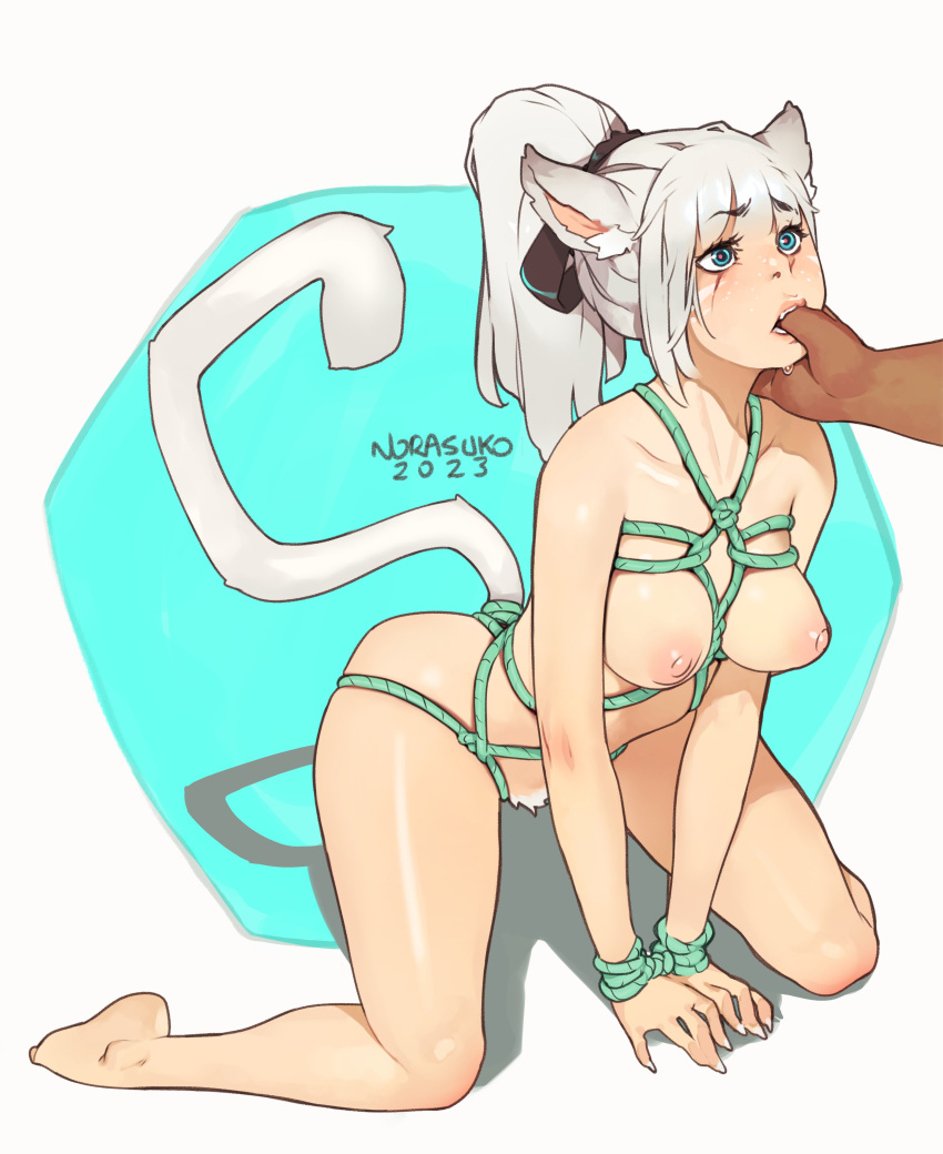 1girls absurd_res areolae blue_eyes bondage bound breasts cat_ears cat_tail catgirl commission female female_focus femsub finger_in_mouth high_ponytail kneeling long_hair nipples norasuko ponytail pubic_hair rope rope_bondage tail tied_wrists white_hair white_pubic_hair