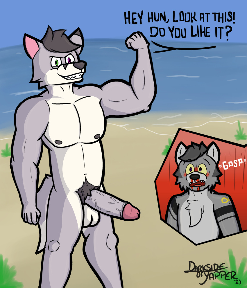 absurd_res anthro beach big_penis blood blush bodily_fluids canid canine canis darkyapper digital_media_(artwork) duo erection fox foxstep fur genitals grey_body grey_fox grey_fur hi_res humanoid_genitalia humanoid_penis male male/male mammal muscular nipples nosebleed nude nudist_beach penis pubes sea seaside text urocyon water wolf yeik_ancient