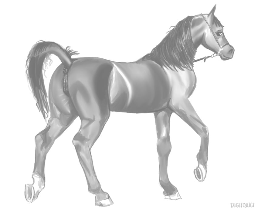 anatomically_correct anatomically_correct_anus anatomically_correct_genitalia anatomically_correct_pussy animal_genitalia animal_pussy anus ass digital_media_(artwork) digitoxici equid equine equine_anus equine_genitalia equine_pussy feral full-length_portrait genitals greyscale hi_res hooves horse looking_at_viewer mammal mane monochrome portrait pussy quadruped simple_background smile smiling_at_viewer standing