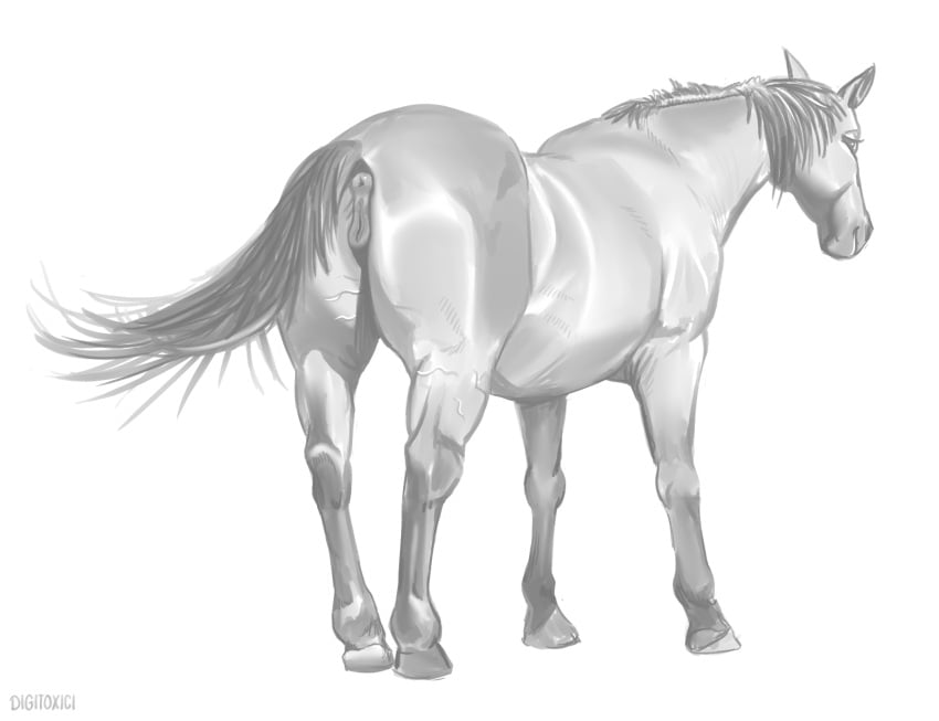 anatomically_correct anatomically_correct_anus anatomically_correct_genitalia anatomically_correct_pussy animal_genitalia animal_pussy anus ass digital_media_(artwork) digitoxici equid equine equine_anus equine_genitalia equine_pussy feral full-length_portrait genitals greyscale hi_res hooves horse looking_at_viewer mammal mane monochrome portrait pussy quadruped simple_background smile smiling_at_viewer standing