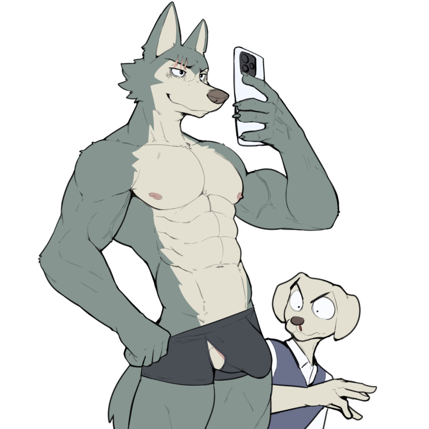 abs anthro areola athletic athletic_anthro athletic_male beastars bulge canid canine canis clothed clothing detailed_bulge domestic_dog duo hi_res holding_object holding_phone jack_(beastars) jrjresq legoshi_(beastars) male male_only mammal phone selfie underwear underwear_only wolf