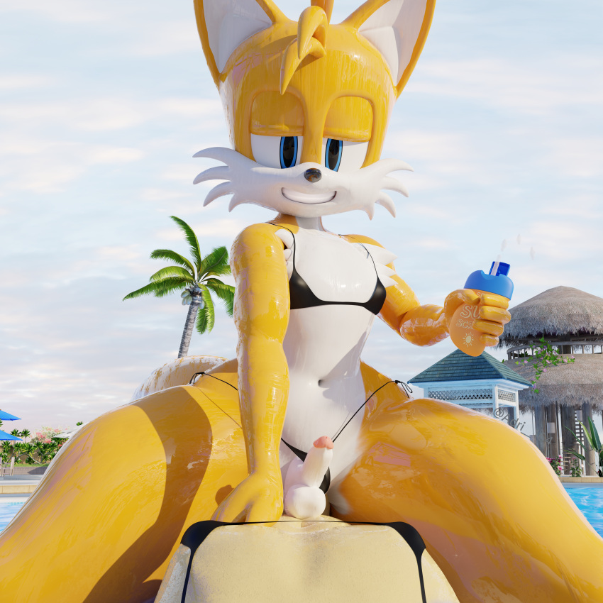 absurd_res adri164 balls bikini bikini_bottom bikini_top black_bikini black_clothing black_nose black_swimwear bodily_fluids canid canine clothing duo erection eulipotyphlan fat fox genitals hedgehog hi_res looking_at_viewer male male_only mammal navel pecs sega smile sonic_(series) sonic_the_hedgehog sonic_the_hedgehog_(series) sunscreen sweat sweaty_balls sweaty_genitalia sweaty_legs sweaty_thighs swimwear tails tails_the_fox white_ball white_balls wide_hips