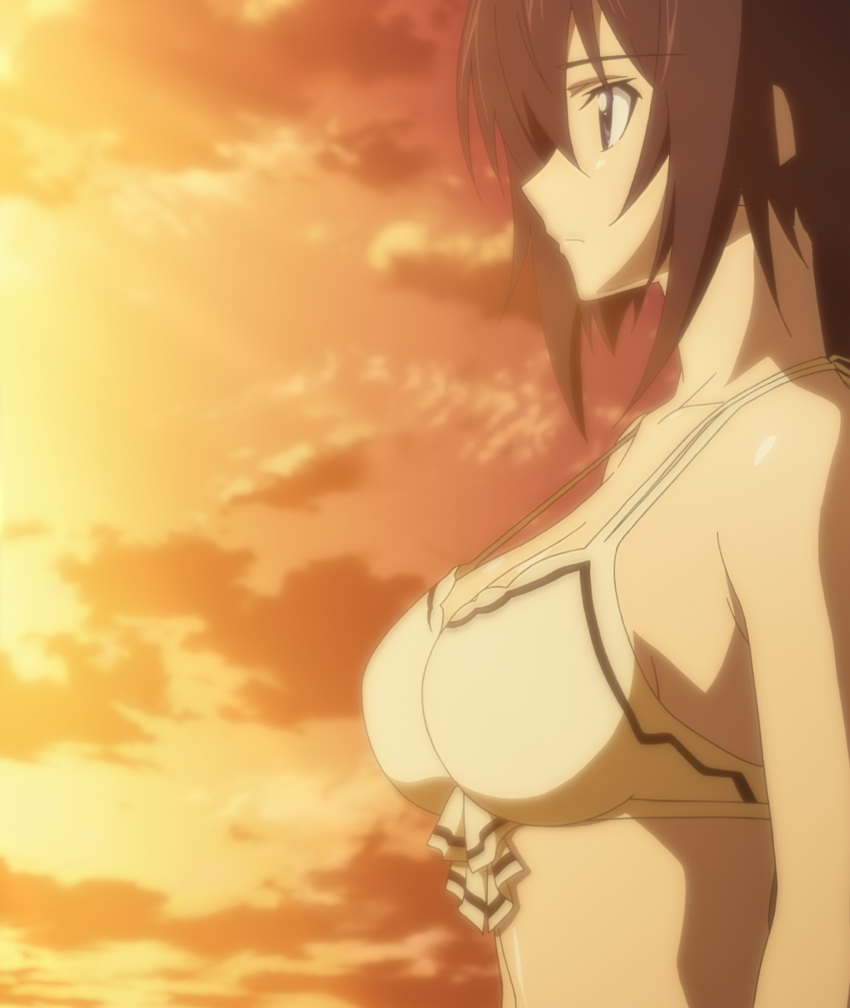 1girls big_breasts bikini blue_eyes breasts brown_hair busty female female_only from_side highres infinite_stratos large_breasts long_hair ponytail screencap shinonono_houki sideboob solo stitched sunset swimsuit third-party_edit voluptuous