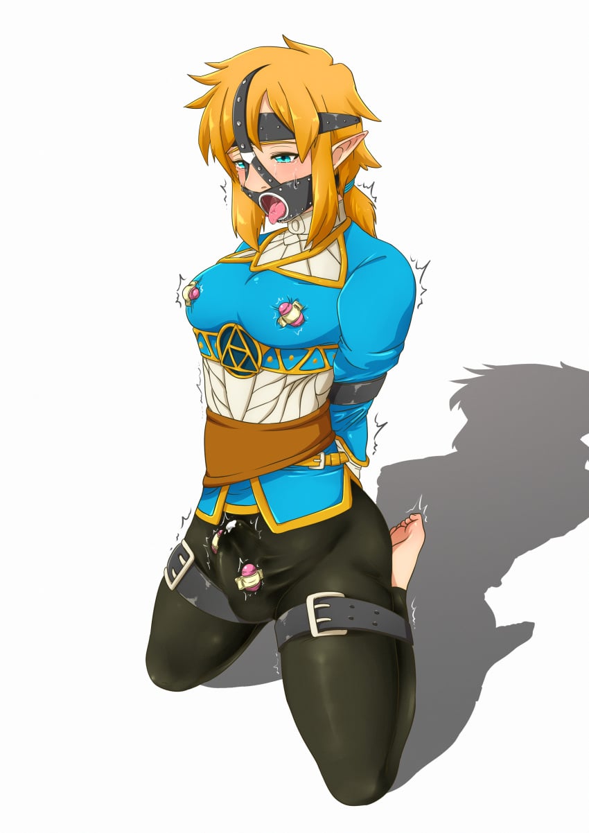 Link (The Legend Of Zelda) Rule 34 Image