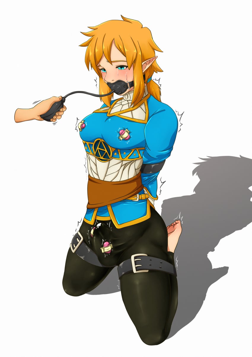 Link (The Legend Of Zelda) Rule 34 Image