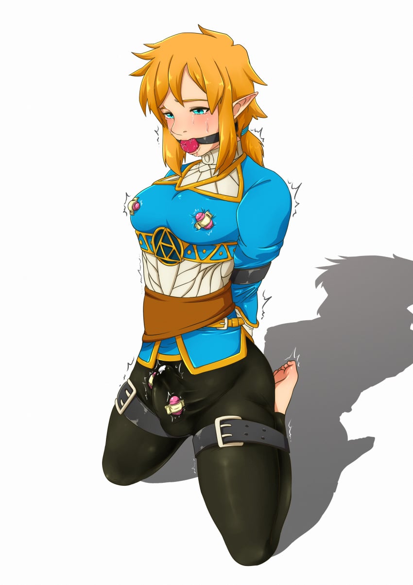 Link (The Legend Of Zelda) Rule 34 Image