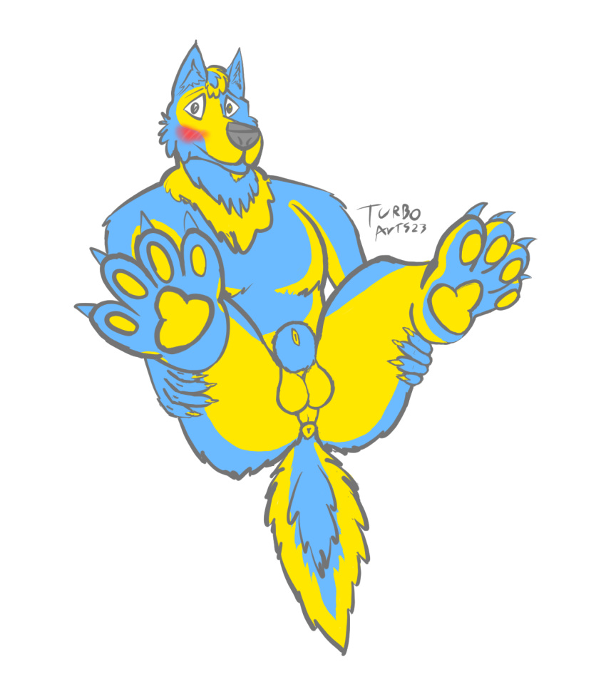 animal_genitalia anthro anus arts) ass balls blue_and_yellow blue_body blue_fur blush canid canine canine_genitalia canis claws digitigrade_heels digitigrade_paws facial_hair finger_claws fully_sheathed fur genitals goatee hair hi_res holding_both_legs inner_ear_fluff looking_at_viewer lying male male_foot_fetish male_only mammal neckfluff nude on_back pawpads presenting presenting_anus presenting_hindquarters sheath simple_background smile solo suggestive_pose tail toe_claws tuft turbo_(turbo_arts) turbo_arts wolf yellow_body yellow_fur