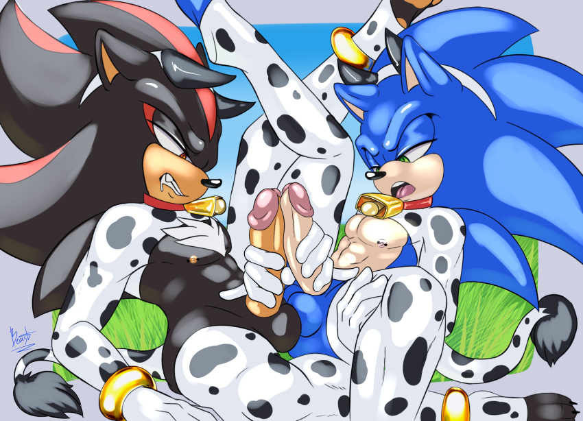 animal_print anthro aoibeast armwear balls bovid_horn bovine_horn clothing cow_horn cow_print cowbell duo elbow_gloves frottage genitals gloves handjob handwear hi_res horn legwear male male/male nipple_piercing nipples penile penis piercing sega sex shadow_the_hedgehog sonic_(series) sonic_the_hedgehog sonic_the_hedgehog_(series) thigh_highs