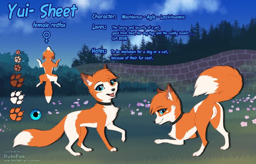 all_fours blue_eyes canid canine collar english_text female feral fox fur furaffinity_username genitals humanoid_genitalia humanoid_genitalia_on_feral humanoid_pussy humanoid_pussy_on_feral mammal model_sheet orange_body orange_fur presenting presenting_pussy pussy raised_tail rear_view rukifox side_view solo tail yui_(rukifox)