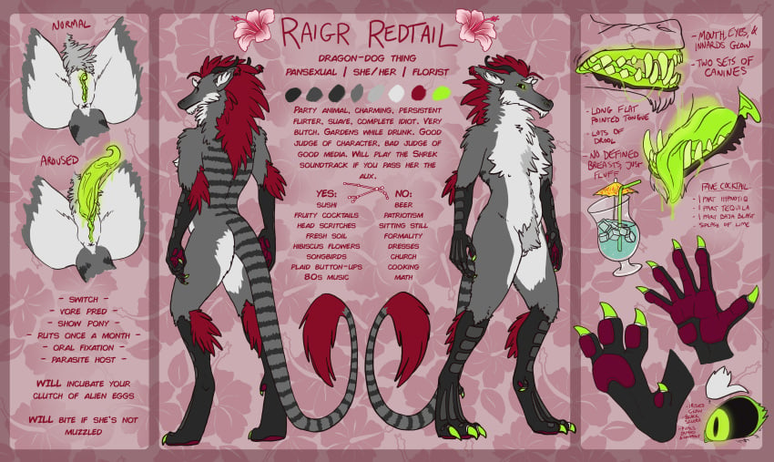 absurd_res anthro big_clitoris canid canine canis clitoris domestic_dog dragon english_text genitals hi_res male mammal model_sheet mouth_shot open_mouth pronouns pussy pussy_shot raigr raigr_redtail sharp_teeth solo teeth text