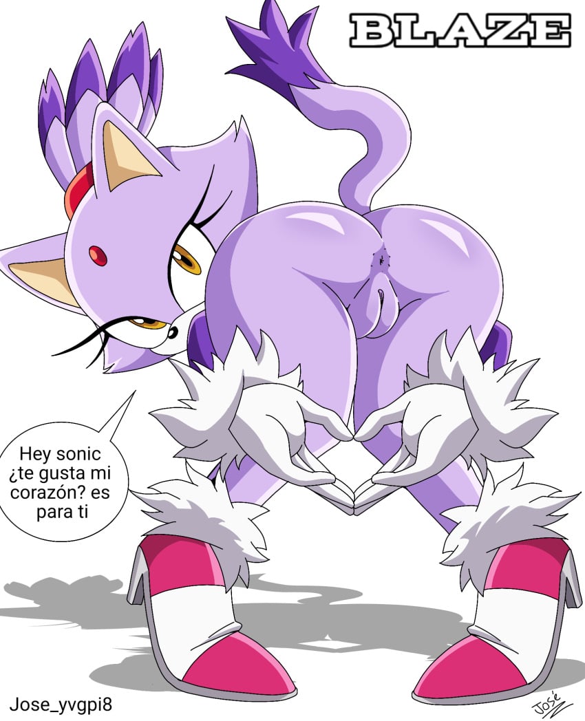 Blaze (Sonic (Series)) Rule 34 Image