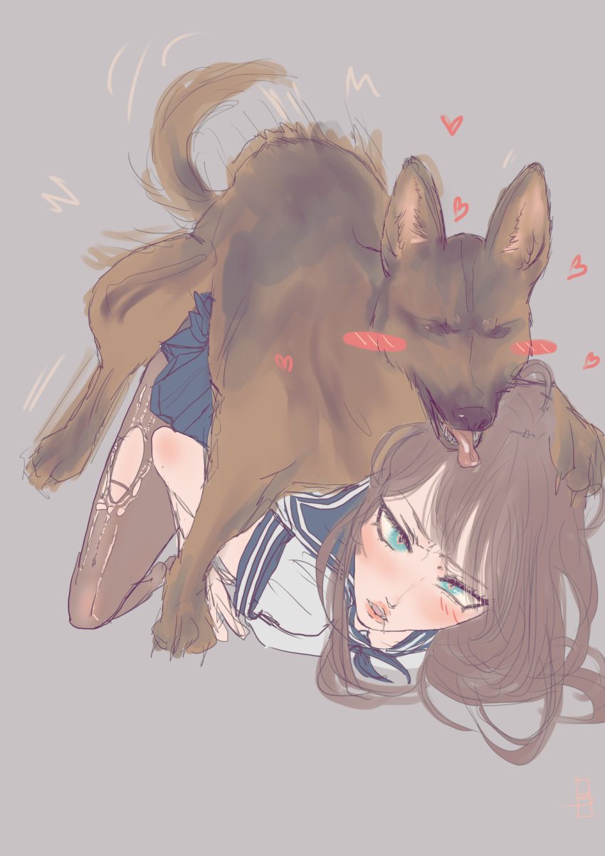 1animal 1girls 2d_(artwork) bestiality blue_eyes blush brown_hair commission commissioner_upload doggy_style drooling female feral_on_female feral_on_human feral_penetrating german_shepherd heart-shaped_pupils ripped_pantyhose school_uniform self_upload xxpen zoophilia