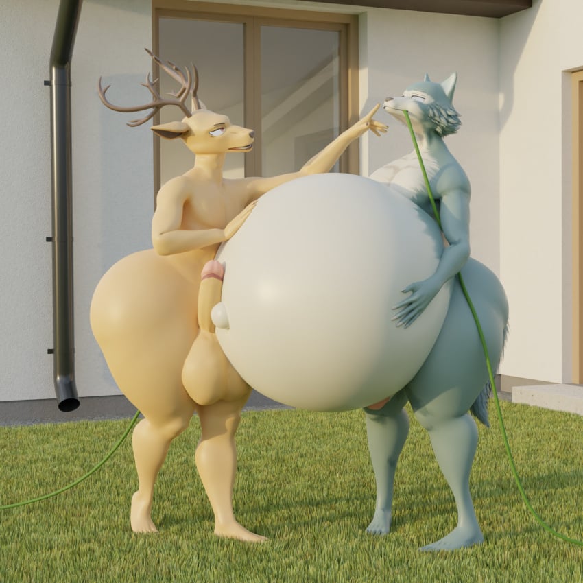 1:1 anthro ass balls beastars belly belly_expansion belly_inflation big_balls big_penis blender_(software) bloated brown_body brown_fur building butt_expansion canid canine canis deer duo expansion fernkarrythewolf from_front_position fur genitals grass green_body green_fur hand_on_stomach hi_res hose_in_butt hose_in_mouth hose_inflation house huge_balls huge_belly huge_cock huge_hips huge_thighs inflation legoshi_(beastars) liquid_inflation looking_at_another looking_at_partner looking_down looking_pleasured looking_up louis_(beastars) male male/male mammal navel nude outdoor_nudity outside penis penis_on_belly plant size_difference smaller_male taller_male thick_thighs wolf