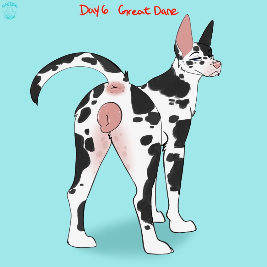 Original Character Rule 34 Image
