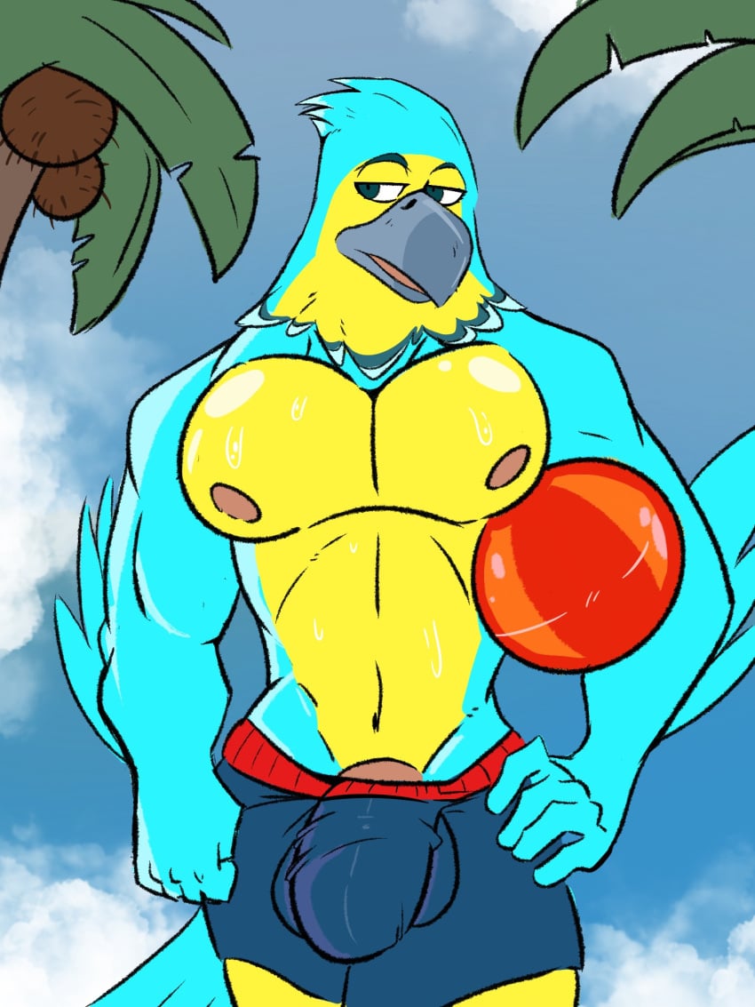 accipitrid accipitriform animal_crossing anthro avian ball barely_visible_genitalia barely_visible_penis beach beach_ball beak biceps bird bulge clothing coconut_tree eagle fruit_tree genital_outline genitals hi_res inflatable keaton_(animal_crossing) male male_only maverickk_(artist) muscular muscular_anthro muscular_male nintendo nipples palm_tree pecs penis penis_outline plant seaside solo swimming_trunks swimwear tree wet wet_body wings