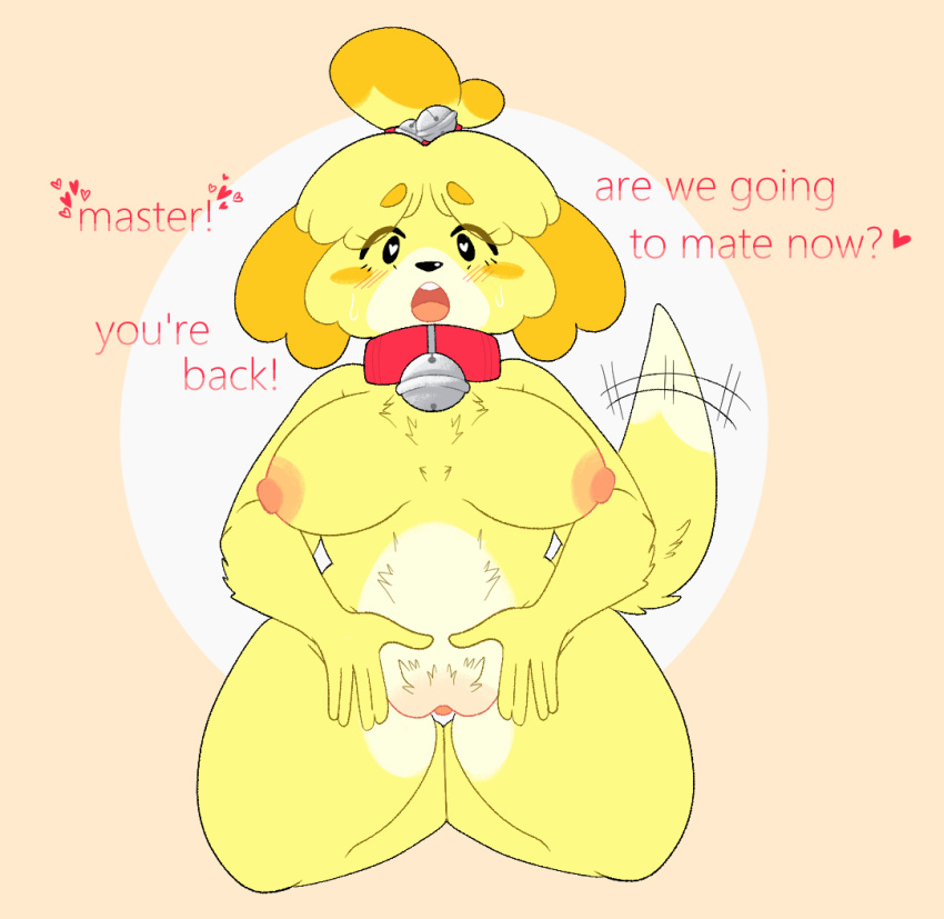 <3_eyes animal_crossing anthro areola bell bell_collar big_breasts black_eyes blush blush_stickers breasts canid canine canis chest_tuft collar dialogue dipstick_tail domestic_dog eyelashes female fur genitals heart isabelle_(animal_crossing) kneeling looking_at_viewer mammal markings nintendo nipples open_mouth orange_body orange_fur pink_areola pink_nipples pussy shih_tzu shoomoo simple_background solo tail tail_markings tail_motion tailwag talking_to_viewer tan_background text thick_thighs toy_dog tuft white_background white_body white_fur wide_hips yellow_body yellow_fur